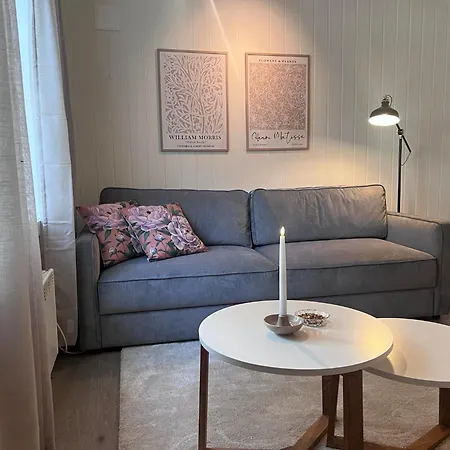 Lägenhet Koselig I Sentrum *