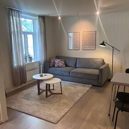 Koselig I Sentrum Apartment