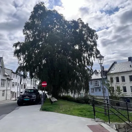 Lejlighed Koselig I Sentrum Ålesund